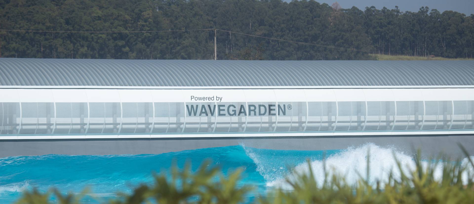 Wavegarden Cove