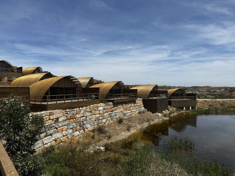 Lost Shore Surf Resort