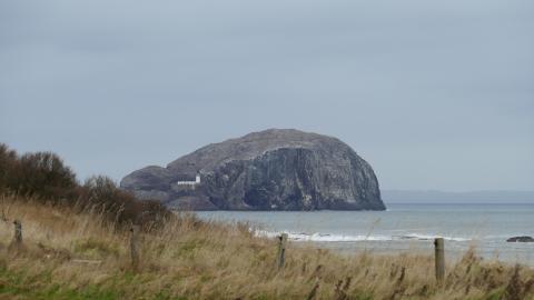 Lost Shore Surf Resort